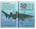 Mad about Sharks Серия: Mad about инфо 7524q.